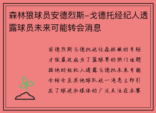森林狼球员安德烈斯-戈德托经纪人透露球员未来可能转会消息